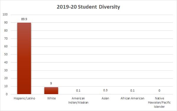 Student Diversity 